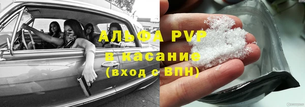 мет Касимов