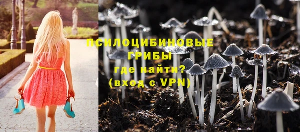 шишки Карталы