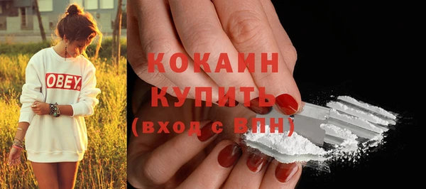 мет Касимов