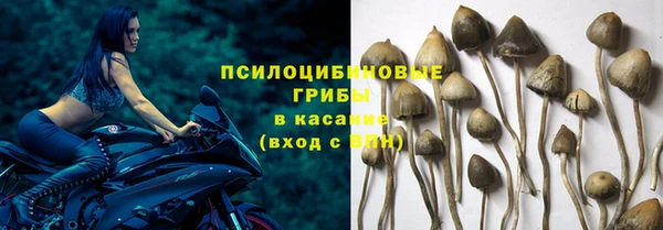 кокаин премиум Каменка