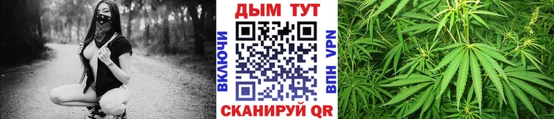 Шишки марихуана гибрид  где купить наркоту  Зерноград 